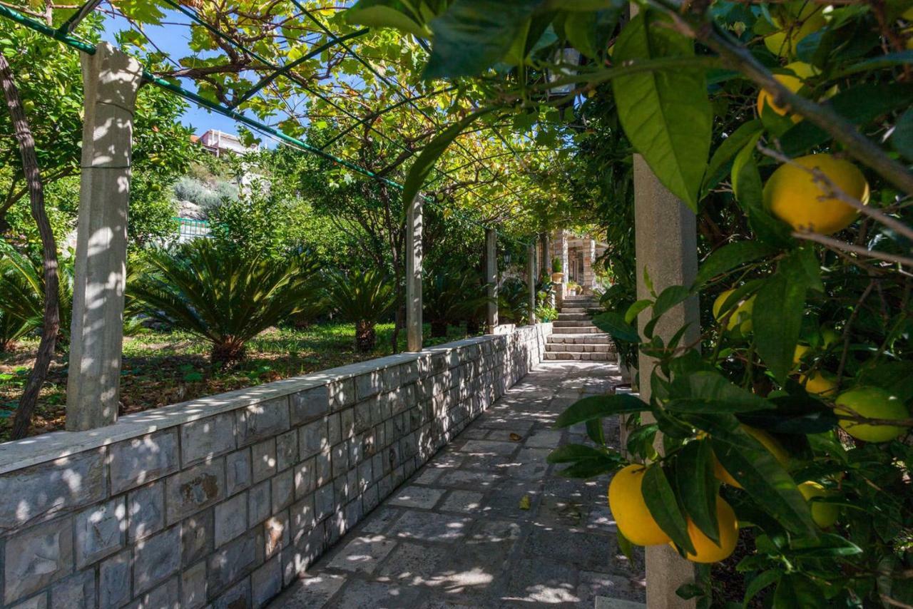 Apartment Beti Lopud Exterior photo