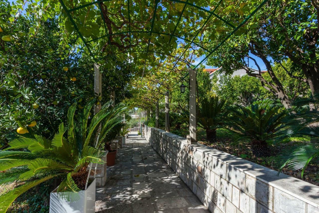 Apartment Beti Lopud Exterior photo